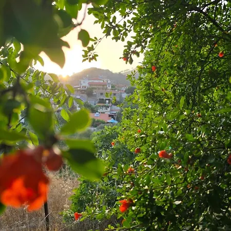 Сasa de vacaciones Gpph Pelendri