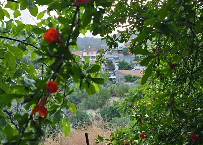 Gpph Prázdninový dům