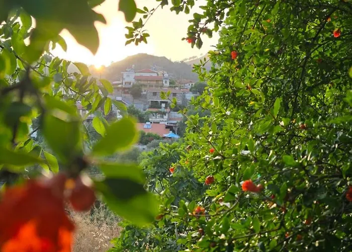 Ferienhaus Gpph Pelendri